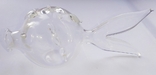 Glass fish from Italy, photo number 6