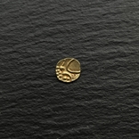 Фанам Индия Скорпион Кочи золото 0.4 грамма, фото №3