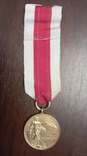 3 степені Медалі Асоціації пожежних команд, фото №4