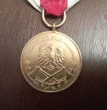 3 степені Медалі Асоціації пожежних команд, фото №6