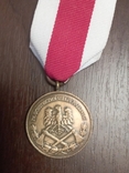 3 степені Медалі Асоціації пожежних команд, фото №8