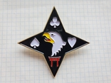 Крупный значок звезда 101 Airborne, фото №2