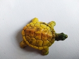 Черепаха з 1994 р., фото №2
