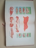 Книга о вкусной и здоровой пище 1964 года, фото №5