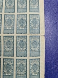 Україна 1918 Гербова марка 40 шагів повний лист з надривами, фото №4