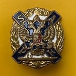 Знак ВМФ - SAPR, фото №2