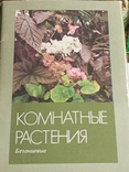 Комплект "Комнатные растения- бегониевые "выпуск 3,16шт, 1987г., фото №6