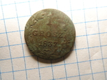 1 грош 1837, фото №7