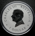Монета Кукабарра Австралія 1 Долар 2024, 1 унція срібло 999, фото №3