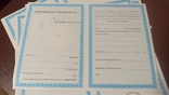 Сертифікат спеціаліста лікаря провізора- 5 бланків, фото №3