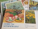 "Советы хозяйкам. Блюда из дикорастущих трав ", 14шт.,1985г., фото №2