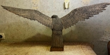 Статуетка дерев'яного орла, фото №6