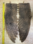 Статуетка дерев'яного орла, фото №12