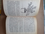 Александрова "Комнатное цветоводство", фото №8