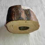 Бивень мамонта, фрагмент 2,353 кг, фото №3