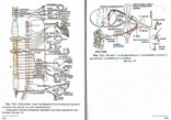 Фізіологія нервової системи.Авт.В.Мороз та ін.2001 р., фото №8
