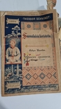Финские орнаменты теодор швиндт 1894 год, фото №9