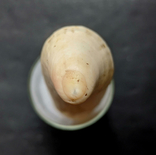  Зубы молодых кашалотов, 125 г, фото №6