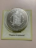 Срібло унція 10 гривень Родина Острозьких 2004, фото №3