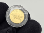 Золотая монета Черепаха 2 гривны 2009 Украина, фото №5