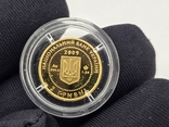 Золотая монета Черепаха 2 гривны 2009 Украина, фото №7