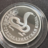 1 рубль 1994 среднеазиатская кобра красная книга серебро, фото №3