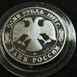 1 рубль 1995 кавказский тетерев красная книга серебро, фото №5