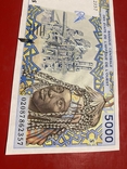 ВСЕАО 5000 франков Центральный банк государств Западной Африки, фото №4