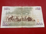Кения 1000 шиллингов, фото №3