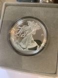 Монета Свобода України Liberty Ukraine, срібло United Crypto States 1000 Satoshi 2024, фото №2
