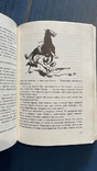 Шклярский "Приключения Томека" полное собрание 7 книг с иллюстр. 1983г Польша "Катовице", фото №7