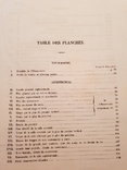 Описание Астрономическая обсерватория Пулкова 1845 г две книга большого формата, фото №9