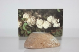 Підставка для фото (камінь, Швейцарія), photo number 2