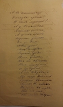 К.Д.Думитрашко "Копитько".1872 рік ,Щедрівка.Автограф., фото №10
