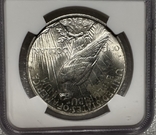 Долар Мирний 1922 слаб NGC MS-64 Америка США, фото №13