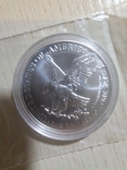Американский Орёл 1 доллар 2024 Шагающая Свобода Серебро 999 1oz, фото №2