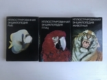 Ілюстрована енциклопедія птахів, риб, тварин. 3 томи. Видавництво ARTIJA, Прага., фото №2