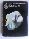 Ілюстрована енциклопедія риб. Мистецтво. Франк. Видавництво ARTIJA, Прага. Рік випуску: 1975., фото №2