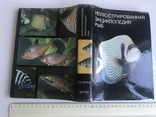 Ілюстрована енциклопедія риб. Мистецтво. Франк. Видавництво ARTIJA, Прага. Рік випуску: 1975., фото №3