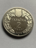 2 гривні 2003 Зубр, фото №2