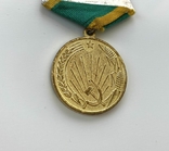 Медаль "За освоение целинных земель", фото №7