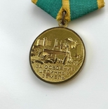 Медаль "За освоение целинных земель", фото №8