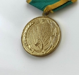 Медаль "За освоение целинных земель", фото №9
