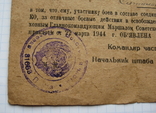 Благодарность справка за освобождение Первомайск Николаевская область 1944, фото №4