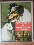 Спички, набор "Служебные и охотничьи собаки", фото №2