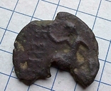 Монета міста Керкінітіда., фото №6