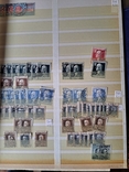 Большой лот ранних марок Италии, фото №12