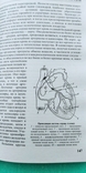 Домашняя медицинская энциклопедия. Здоровье от А до Я (под общ.ред. В. Бородулина), фото №8