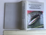 Ілюстрована енциклопедія комах. Видавництво «АРТІЯ», Прага. 1977., фото №9