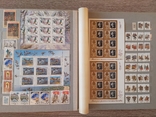 Большой альбом марок СССР 1989 - 1991 гг. 14 листов более 790 марок и 25 блоков негашеные, фото №11